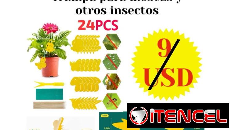 Atrapa moscas