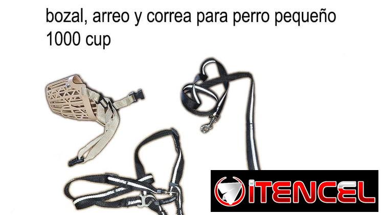 Se vende bozal, correa y arreo