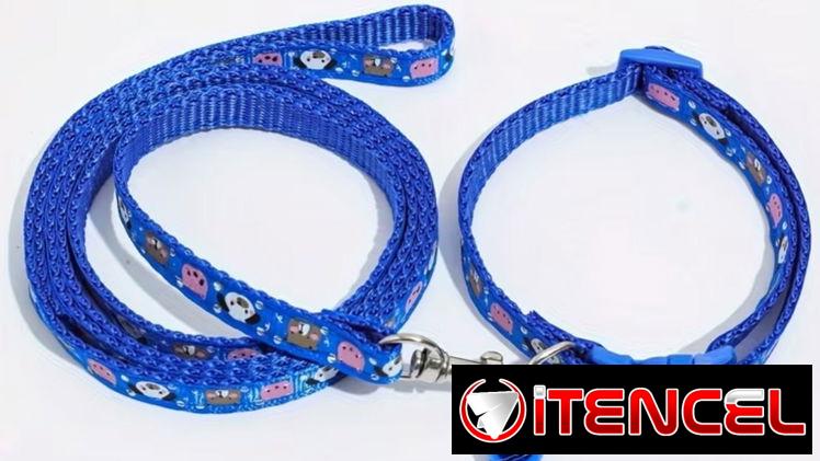 Collar con correa y cascabel