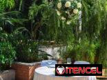 🌴✨ Tu evento soñado junto a la piscina ✨🌴espacio exclusivo con piscina en La Lisa!