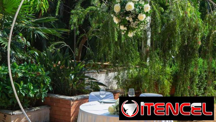 🌴✨ Tu evento soñado junto a la piscina ✨🌴espacio exclusivo con piscina en La Lisa!