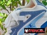 Tenis champion de todos los modelos