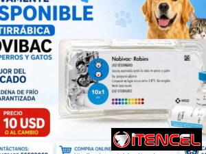 b16660627ce71c51eec3e394f5dd7af065bd155ebe2047090721093a3a0753de