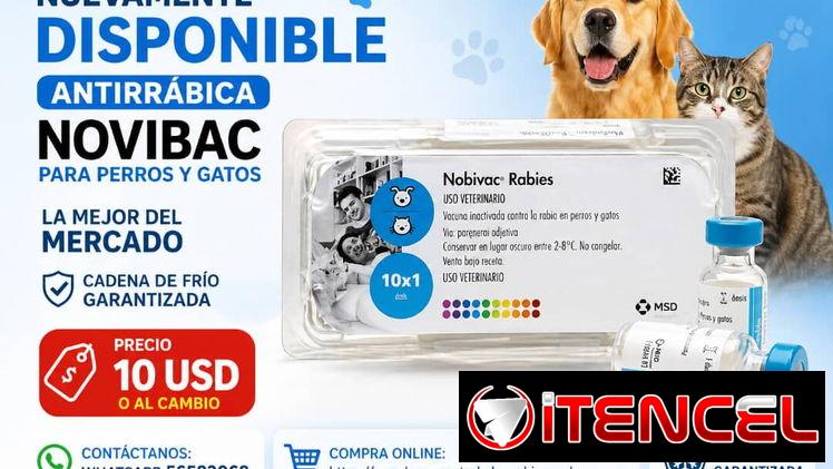Vacuna antirrábica Novibac para perros y gatos