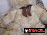 Muñecos oso de peluche