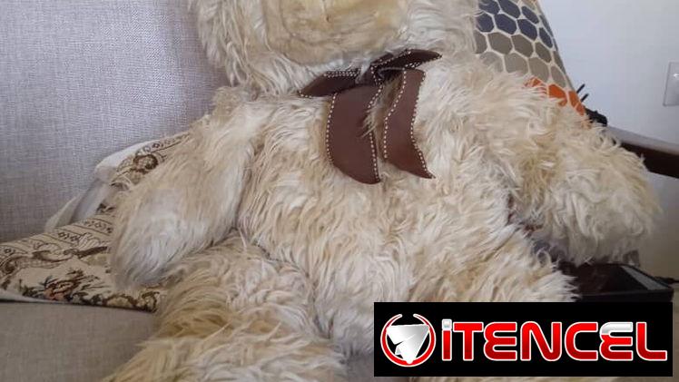 Muñecos oso de peluche