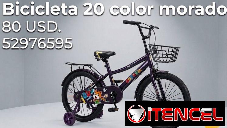 Bicicleta 20 con sus rueditas