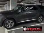 Vendo o negocio yhunday palisade del 2020 el básico