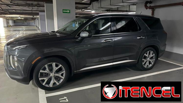 Vendo o negocio yhunday palisade del 2020 el básico
