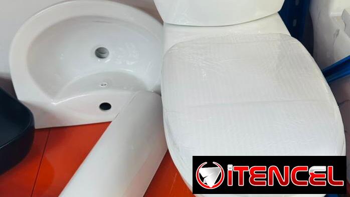 Tasa de baño con tanque y lavamanos de pedestal