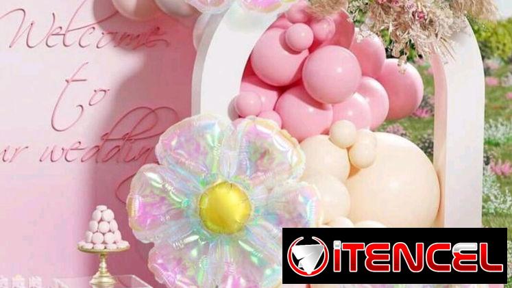 🌼✨ 3 globos transparentes tornasol