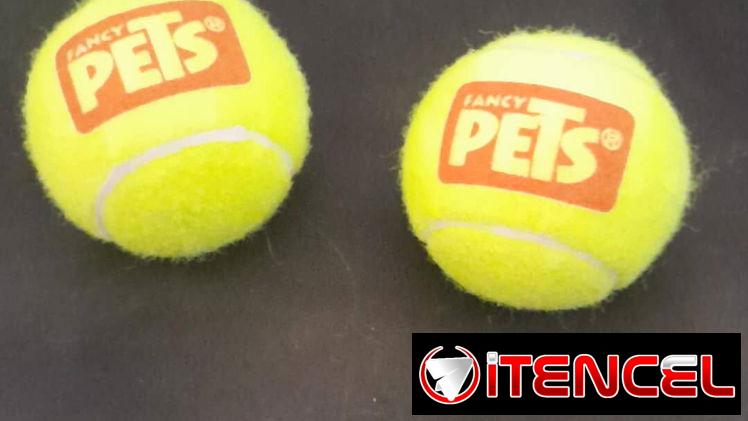 Pelotas de tenis 🎾  con pito