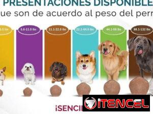 b335da672501ba261486694261bd498267c1f730d0a120057c9cbdce51903526
