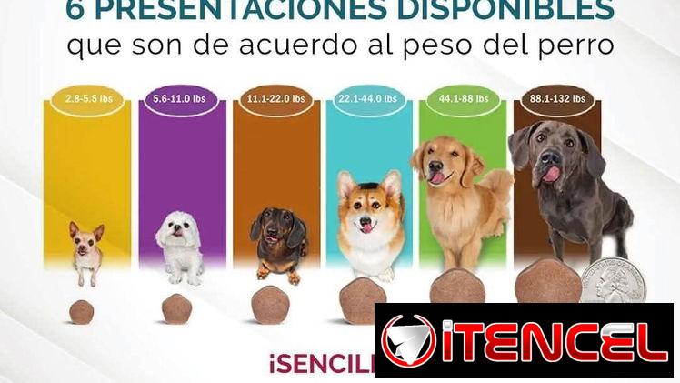 Simparica Trío