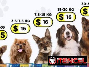 b3c49f621890d2d6f33006435e8959f6b1cb2683819f6355a119cf86c5a01e81