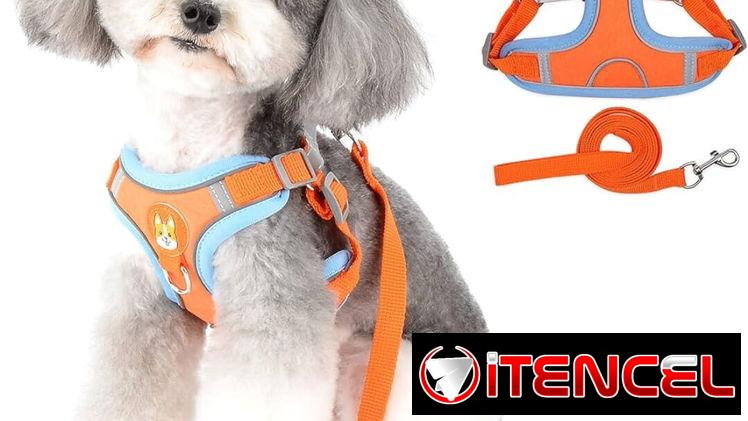 PECHERAS Y ARREOS PARA PERROS🐶✅️📲🐾53902244