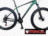 Bicicleta raly