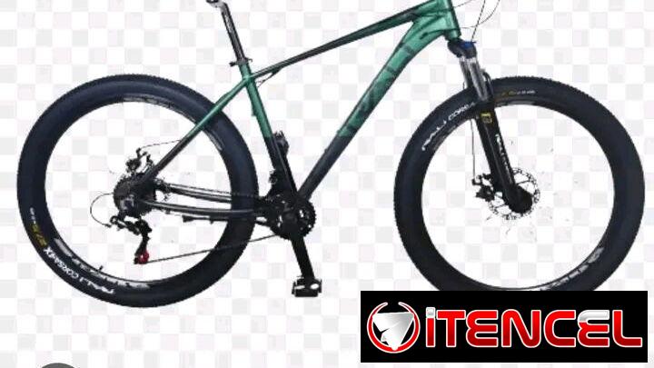 Bicicleta raly