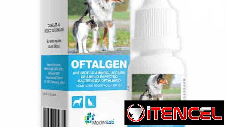 Oftalgen
