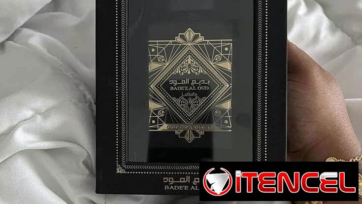Zapatos de vestir para hombres .Perfumes Árabes. Bestia Negra 524654500
