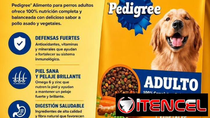 Comida de perros y gatos 52969213 importada
