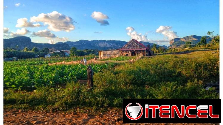 Renta habitación en Viñales con paneles solares – Capacidad 4 personas – Precio negociable 15-25 USD