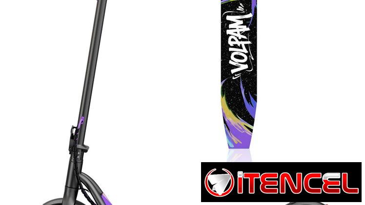 Carriola para adultos VOLPAM Q2 350W