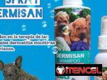 Shampoo Dermisan para perros (para el tratamiento contra los hongos)