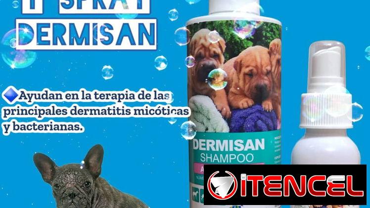 Shampoo Dermisan para perros (para el tratamiento contra los hongos)