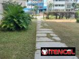 servicios de Jardinería y Limpieza de exteriores ( trabajamos en la mayoría de los Municipios )