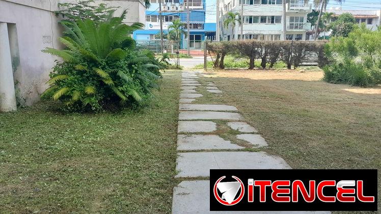 servicios de Jardinería y Limpieza de exteriores ( trabajamos en la mayoría de los Municipios )