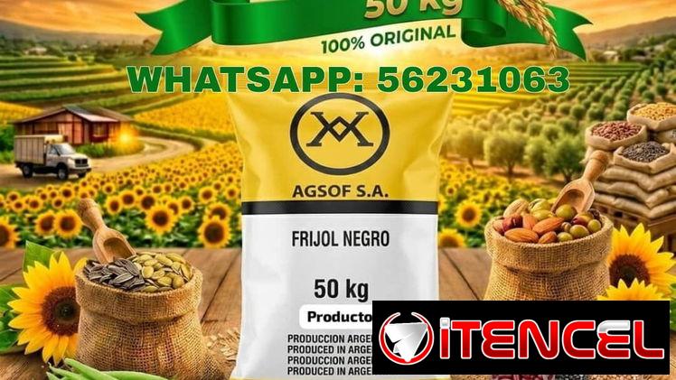 Frijoles negros 50kg