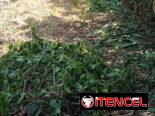 LIMPIEZA DE PATIOS