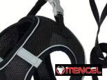 Arreo con pechera