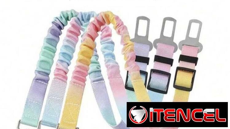 Correas para mascotas
