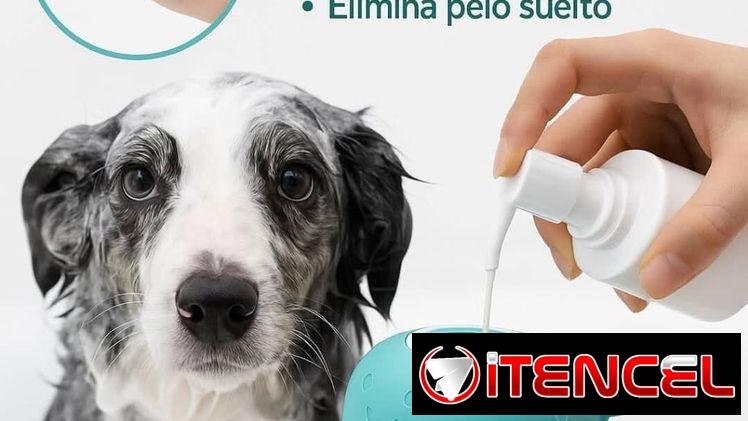 Sepillos de baño