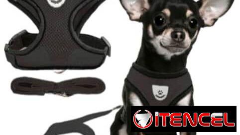 Vendo accesorios para mascotas