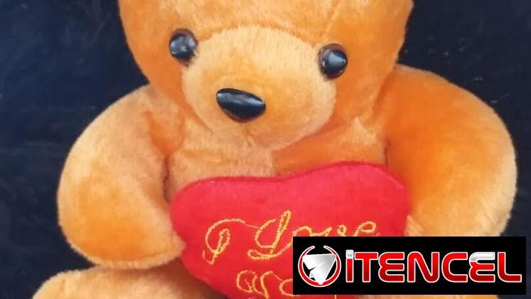 🐻Osito de Peluche