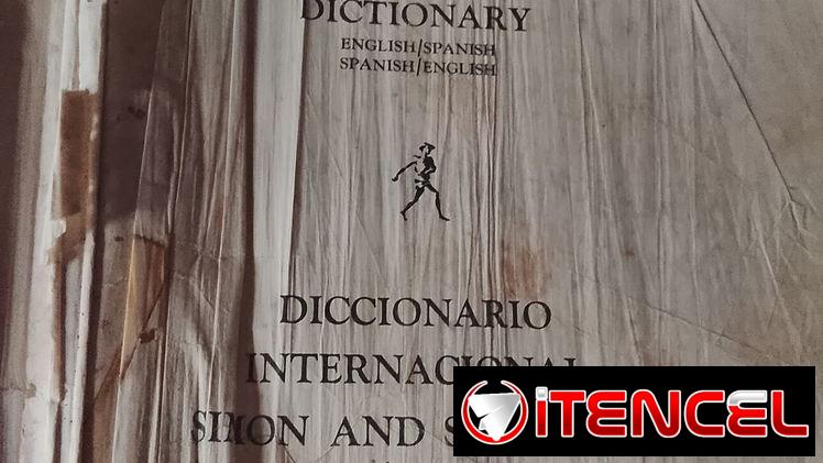 Diccionario