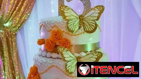 🌹 🌹 Fiestas de Quince, realizando tu sueño 🌹 🌹