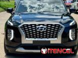 Hiunday PALISADE  LIMITED 2022