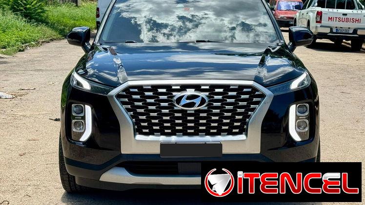 Hiunday PALISADE  LIMITED 2022