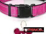 Collares con chapilla