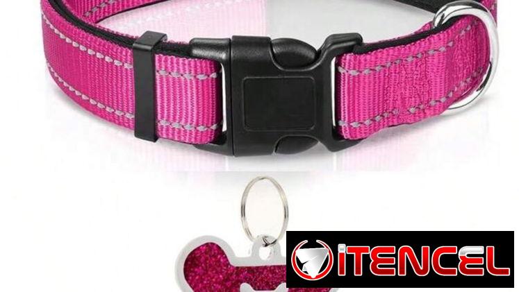 Collares con chapilla