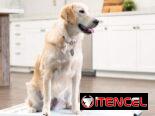 Soporte  Para Mascotas