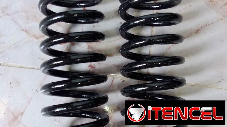 Espirales Orijinales de moscovis