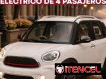 vehículo cuatri triciclo electrico