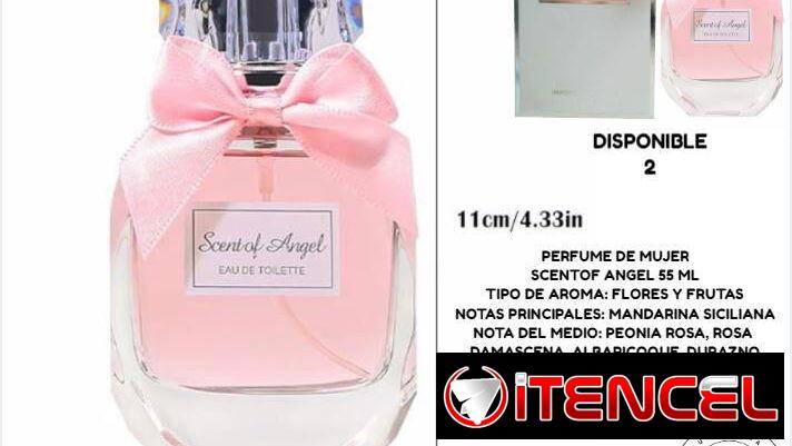 PERFUMES( incluidos perfumes arabes)