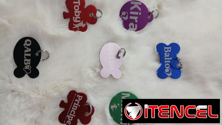 Chapa para mascotas identificación