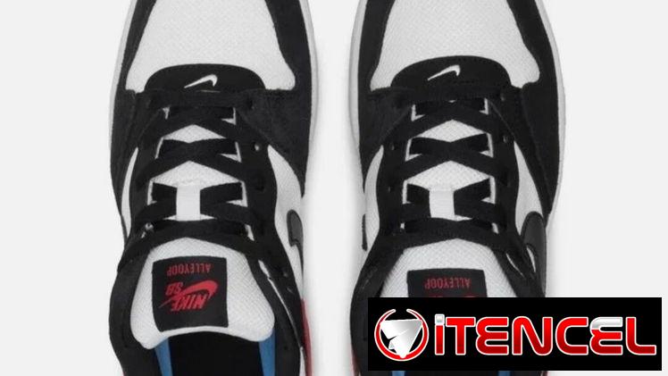 Tenis Nike SB #45 ORIGINALES VEDADO